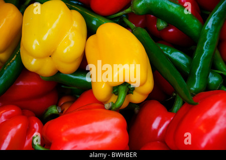 Selection of perfect green yellow red peppers in open air market Stock Photo