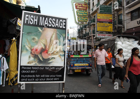 Fish Massage , Khao San road Stock Photo