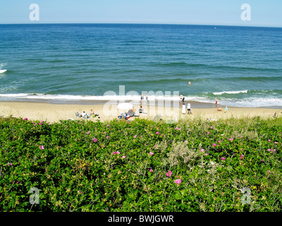 People strolling and sunbathing  on Nauset Light Beach,Cape Cod,Massachusetts Stock Photo
