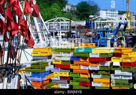 Europe, Germany, Mecklenburg-Western Pomerania, isle of Ruegen, harbour in Sassnitz Stock Photo