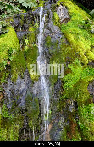 moss water waterfall rivlet cliff rock cliff nature Ventisquero Chico near Puyuhuapi As sharp Patagonia C Stock Photo