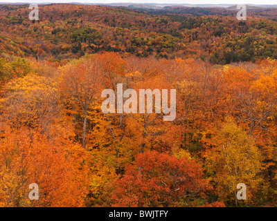 Aerial fall nature scenery of hills covered with thick carpet of mixed colorful forest. Dorset, Ontario, Canada. Stock Photo