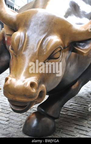 Charging Bronze bull near the New York stock exchange America Stock Photo