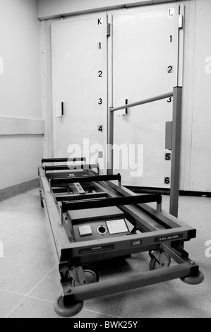 Mortuary (Post Mortem) Images Stock Photo