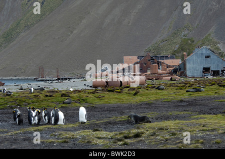 South Georgia Island group south Atlantic whaling station Stromness abandoned whaling whale catcher coast sea Stock Photo