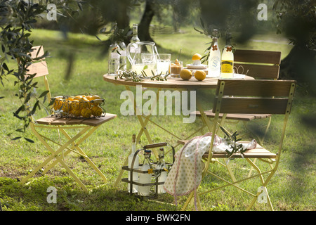Olive grove with table, Affi, Lake Garda, Veneto, Italy Stock Photo