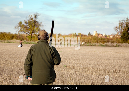A Shooter (gun) awaiting the game birds rising on a shoot, Cambridgeshire, UK