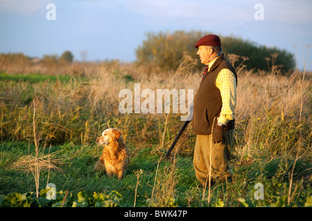 A Shooter (gun) and his gundog  awaiting the game birds rising on a shoot, Cambridgeshire, UK