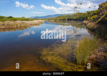 Reflections in the lagoon at Lagoons Beach, Chain of Lagoons north of Bicheno on the east coast of Tasmania Stock Photo