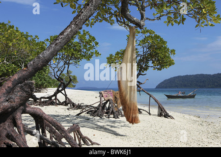 Mangroves with fishing net on the beach, Havelock Island, Andamans, India Stock Photo