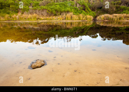Early morning reflections in the lagoon at Lagoons Beach, Chain of Lagoons north of Bicheno on the east coast of Tasmania Stock Photo