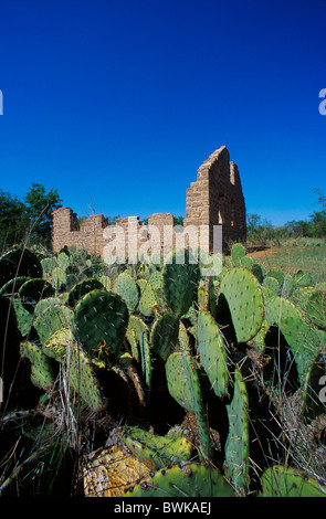 USA America North America Texas Albany fort Griffin State Park and Historic site ruins cacti Stock Photo