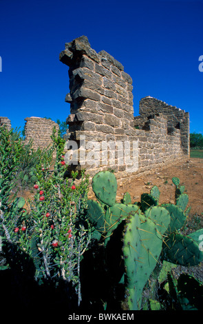 USA America North America Texas Albany fort Griffin State Park and Historic site ruins cacti Stock Photo