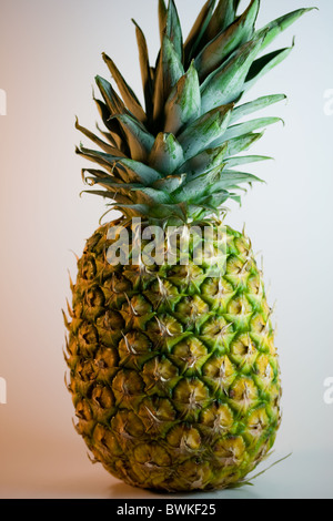Whole Pineapple Fruit Stock Photo
