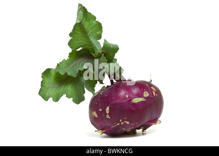 Purple German Turnip with leaf from low perspective isolated on white. Stock Photo