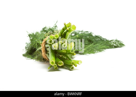 Bunch of Dill from low perspective isolated on white background. Stock Photo
