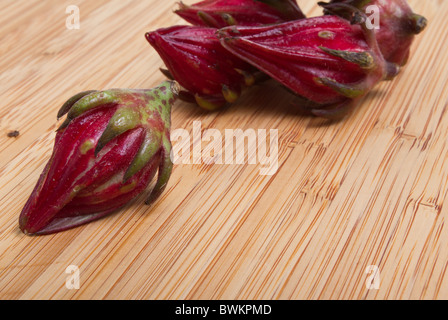 Rosella Bud from the Hibiscus family used in asian cooking to make pickles isolated on white. Stock Photo
