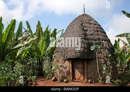 Traditional Dorze Beehive Hut Surrounded by False Banana. Taken In Chencha, Omo Valley, Ethiopia Stock Photo