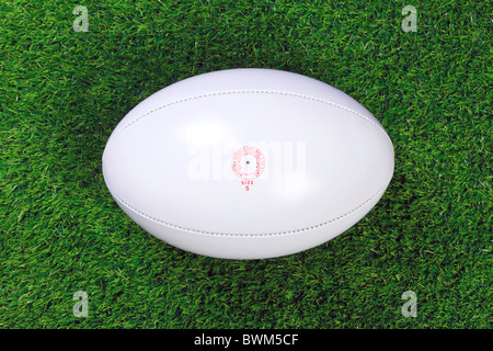 A white leather rugby ball on grass. Stock Photo