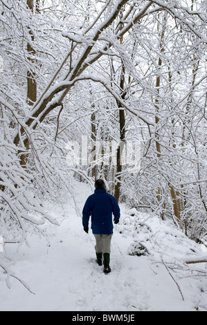 Back view of a man walking on a pathway through snow covered trees Stock Photo