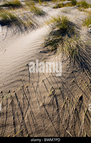 patterns made by grass and wind on a sand dune Stock Photo