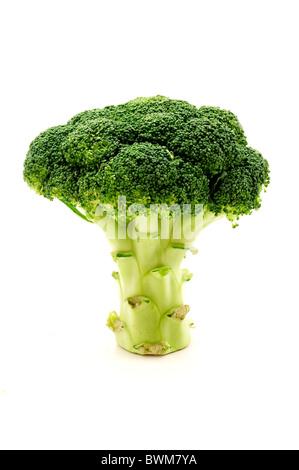 Calabrese broccoli on a white background Stock Photo
