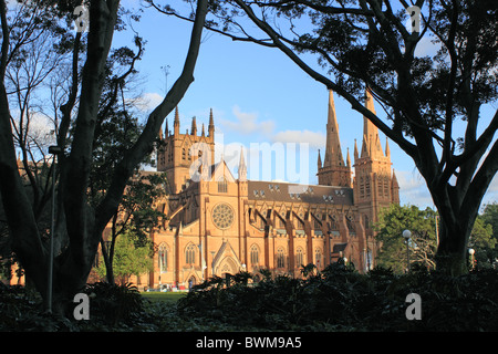 St Mary's Cathedral, College Street, Sydney, New South Wales, NSW, Australia, Australasia Stock Photo