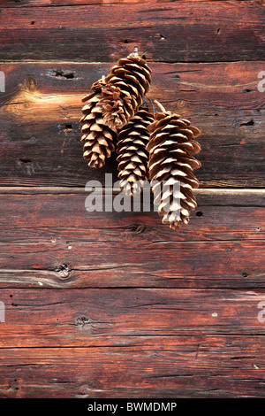 Fir cones on wood Stock Photo