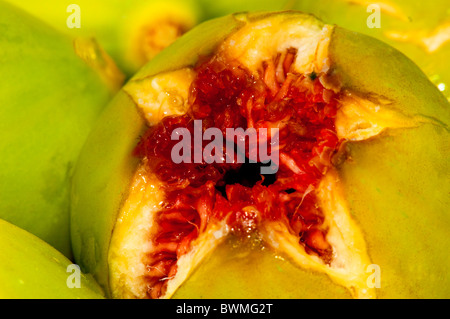 Ripe green fig bursting open in a red star showing the red seeds. Stock Photo