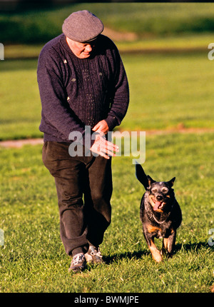 Dog obedience training Stock Photo