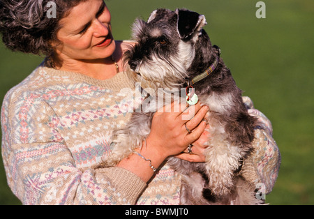 Owner with miniature Schnauzer dog, Australia Stock Photo