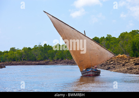 Dhow sailing in a channel off of Lamu Island, Kenya Stock Photo