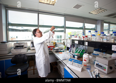 Scientific laboratory specimen capsules containing parasite Hookworm at University of Nottingham. Photo:Jeff Gilbert Stock Photo