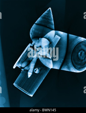 traditional photographic darkroom practice and photogram production with chemical processing photographic paper Shadow Catchers Stock Photo