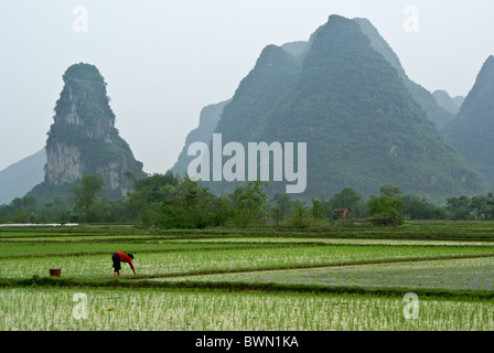 Rice paddies and karst landscape of Guangxi, China Stock Photo