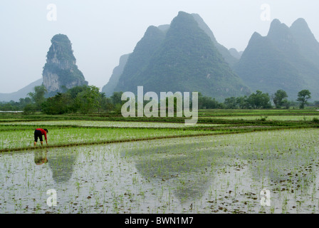 Rice paddies and karst landscape of Guangxi, China Stock Photo