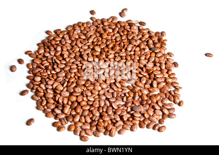 Pile of dried pinto beans, isolated on white background Stock Photo