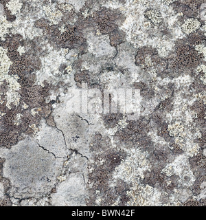 Surface of the granite rock covered with lichen - seamless texture Stock Photo