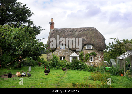 A thatched cottage with chickens in the garden Wiltshire, UK Stock Photo