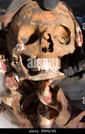 Close up of an elderly woman's skull, removed from the ground Stock Photo