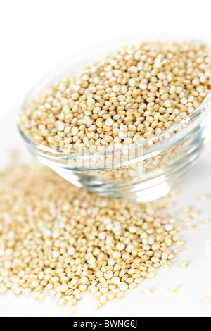 Quinoa grain in glass bowl on white background Stock Photo