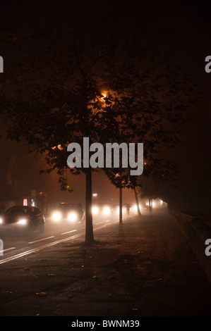 A foggy night on Banbury road, Oxford. Stock Photo