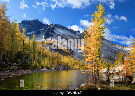 Tamaracks reflecting in Lake Leprechaun in Washington's Enchantment Lakes wilderness area Stock Photo