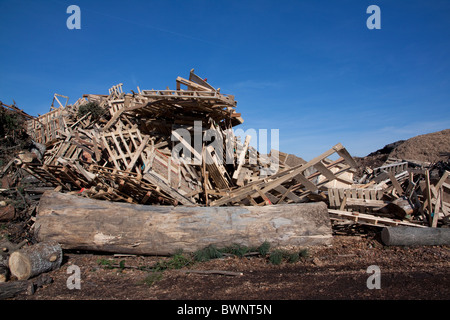 Various raw wood products waiting for processing Recycling Plant Michigan USA Stock Photo