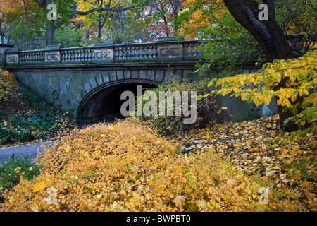 Autumn in Central Park at the glade arch Stock Photo