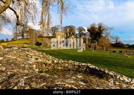 Inch Abbey. Cistercian Abbey, Downpatrick, County Down, Northern Ireland Stock Photo