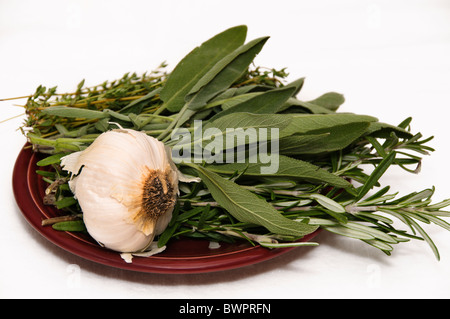 Sage, rosemary, thyme and garlic are ready to use to flavor the main course. Stock Photo
