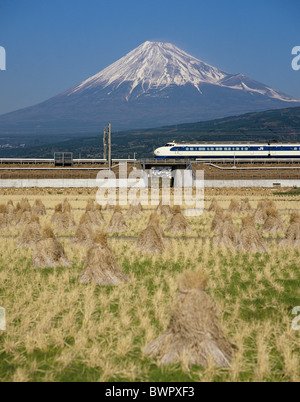 Bullet Train passing by Rice Field and Mount Fuji Stock Photo - Alamy