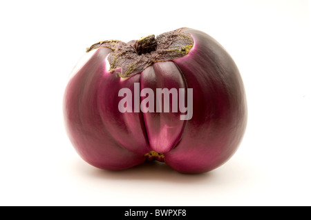 Purple eggplant on a white background Stock Photo