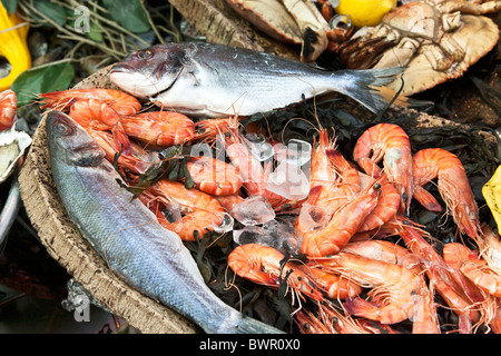 delicious display of fresh whole fish & shrimp displayed on a bed of seaweed outside a French seafood restaurant in Paris Stock Photo
